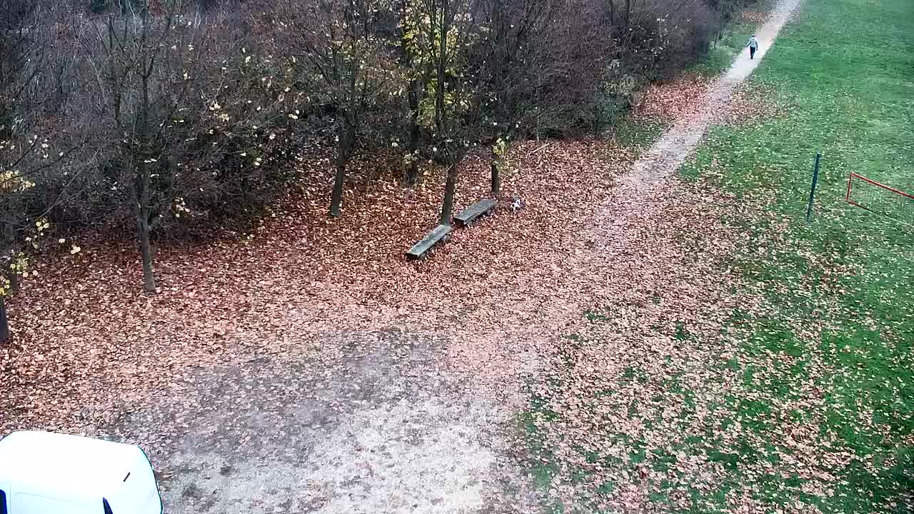 Webcam Ribnik Vrbje – Žalec