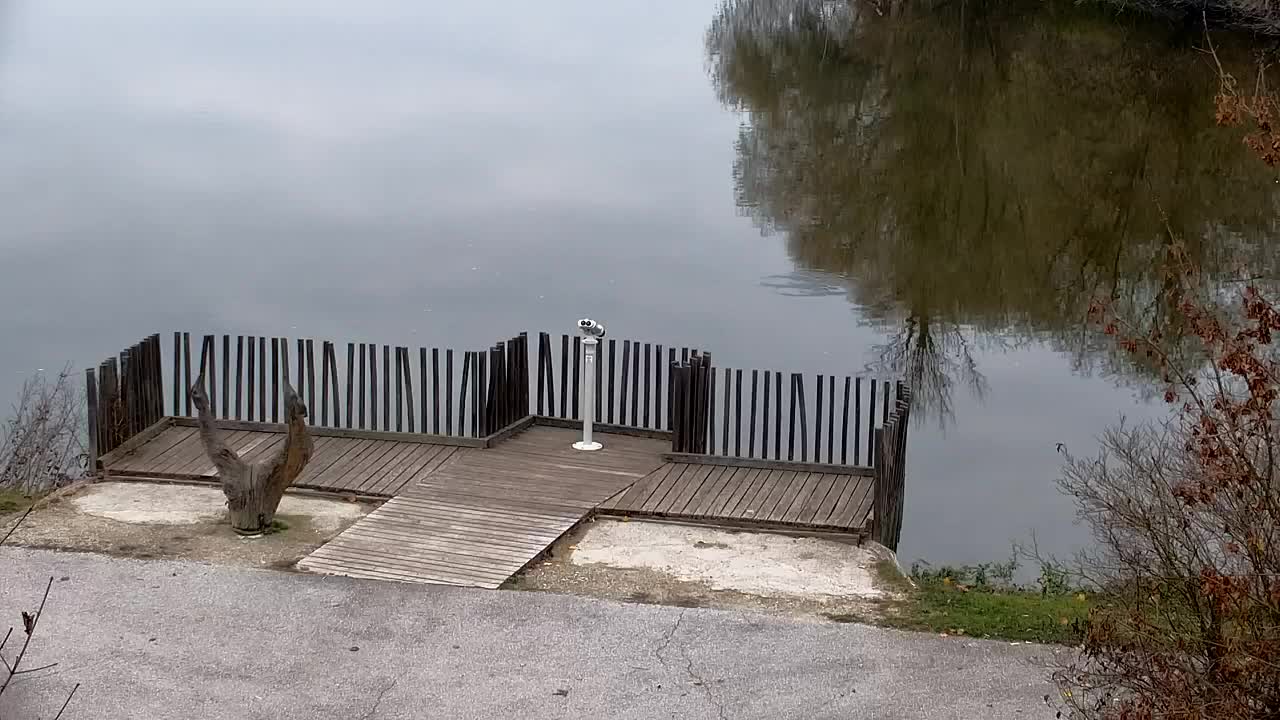 Spletna kamera Ribnik Vrbje – Žalec