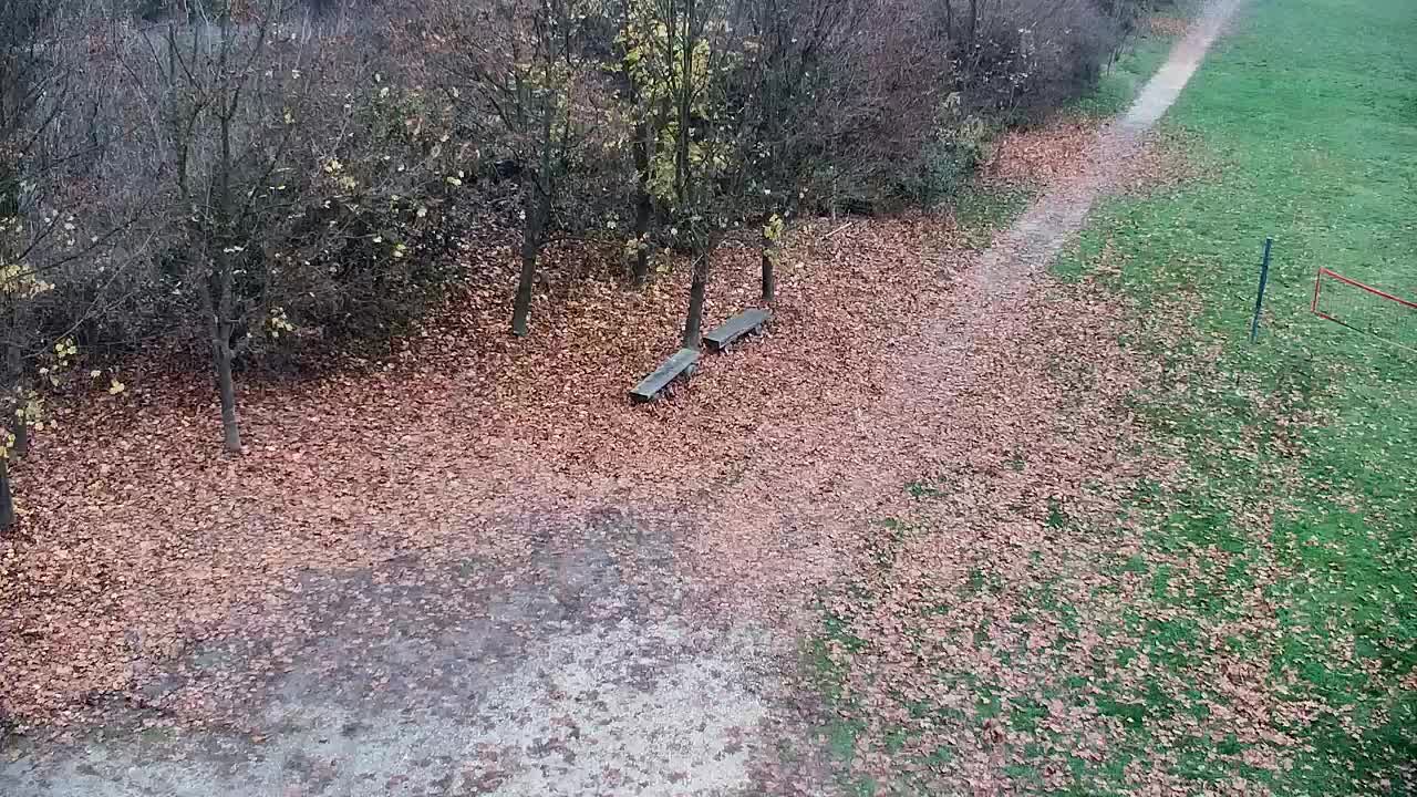 Spletna kamera Ribnik Vrbje – Žalec