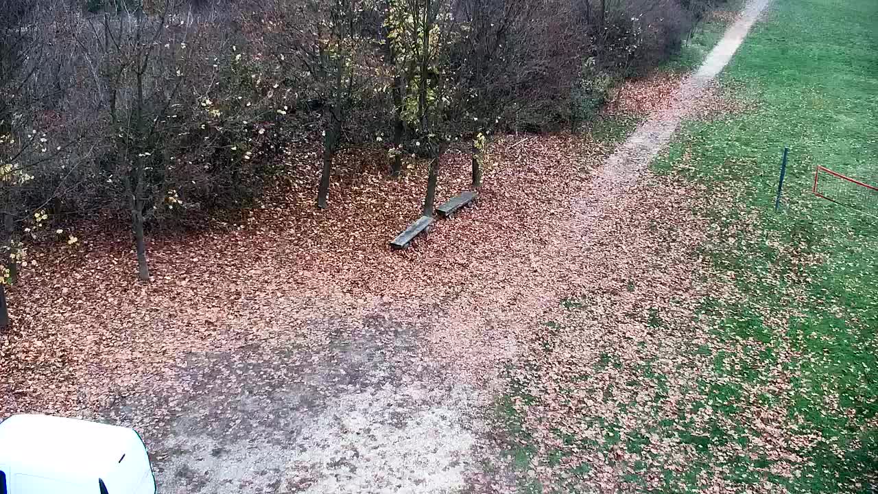 Webcam Ribnik Vrbje – Žalec