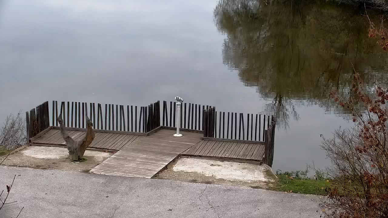 Webcam Ribnik Vrbje – Žalec