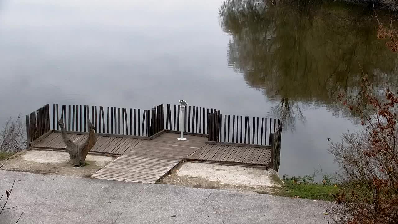 Web kamera Ribnik Vrbje – Žalec