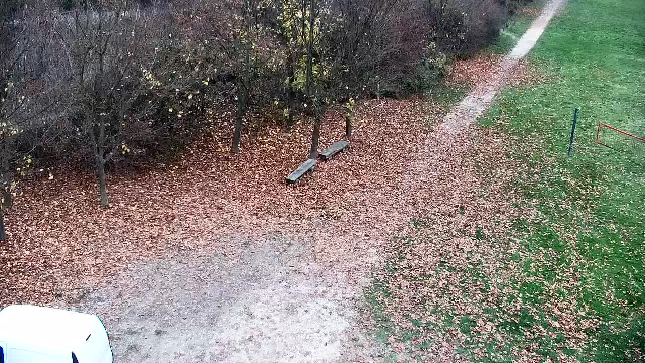 Webcam Ribnik Vrbje – Žalec