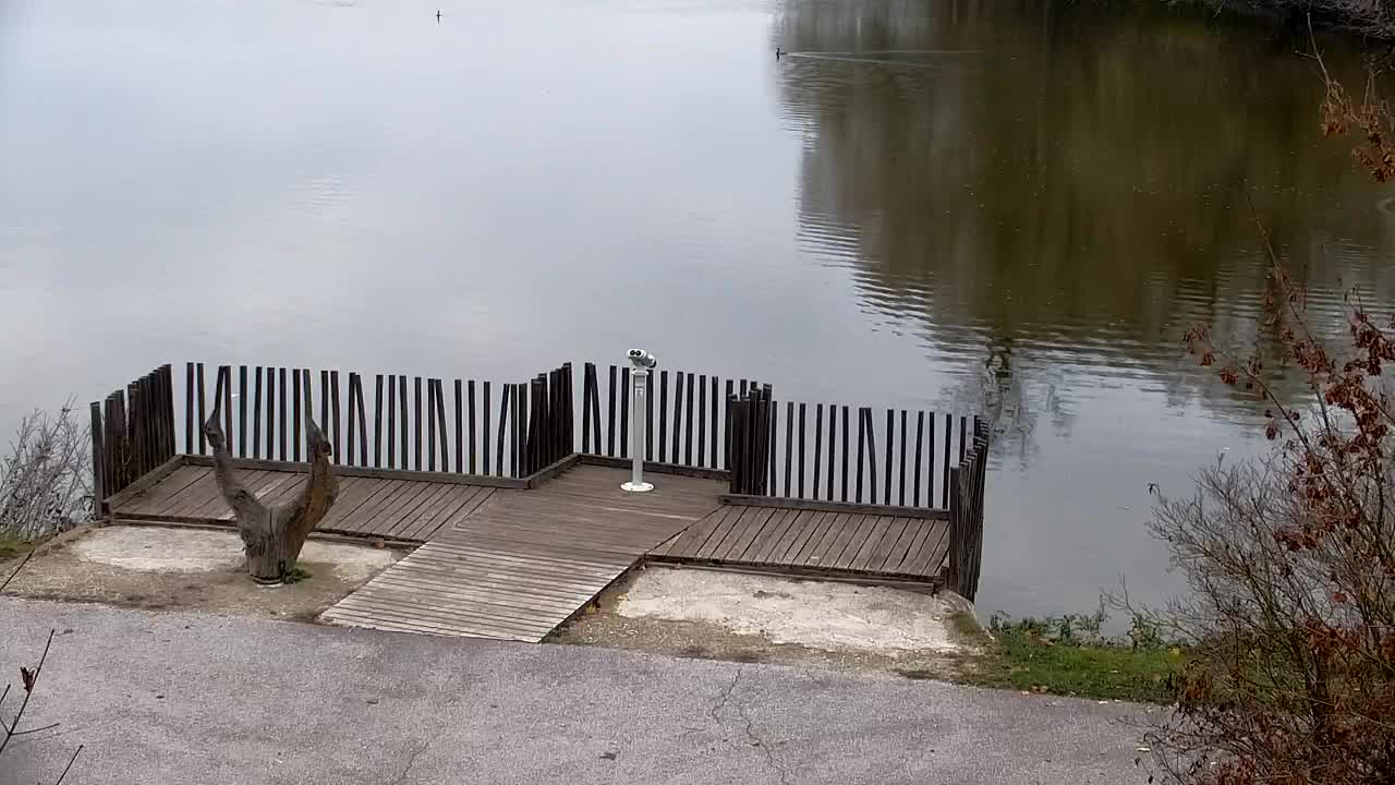 Webcam Ribnik Vrbje – Žalec