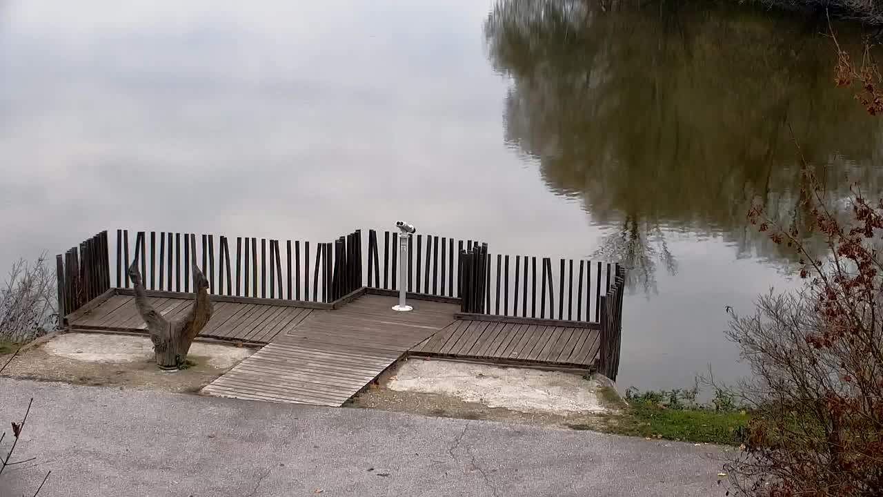 Webcam Ribnik Vrbje – Žalec