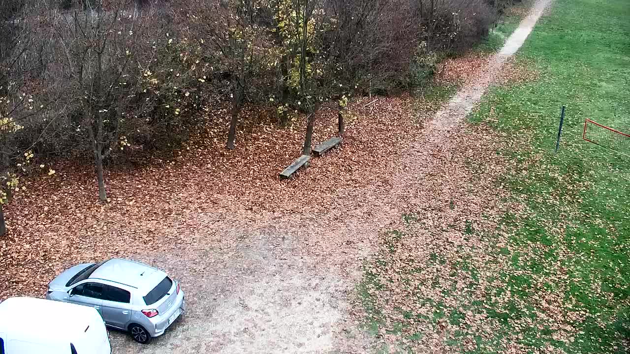 Spletna kamera Ribnik Vrbje – Žalec