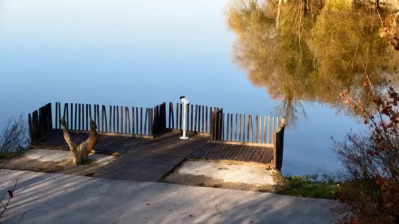Spletna kamera Ribnik Vrbje – Žalec