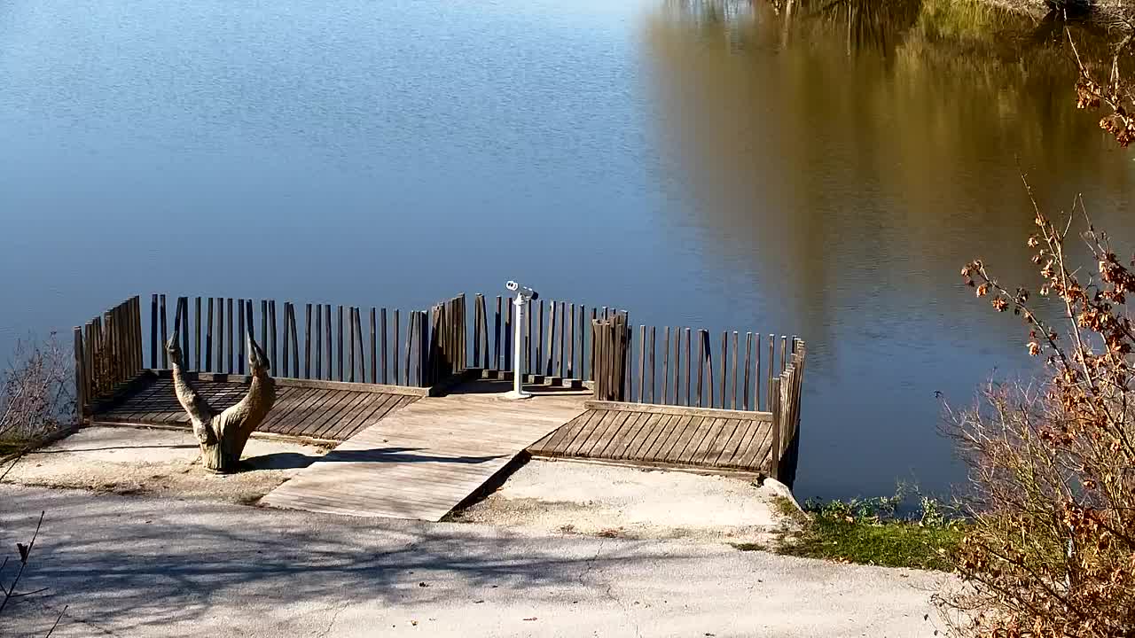 Spletna kamera Ribnik Vrbje – Žalec