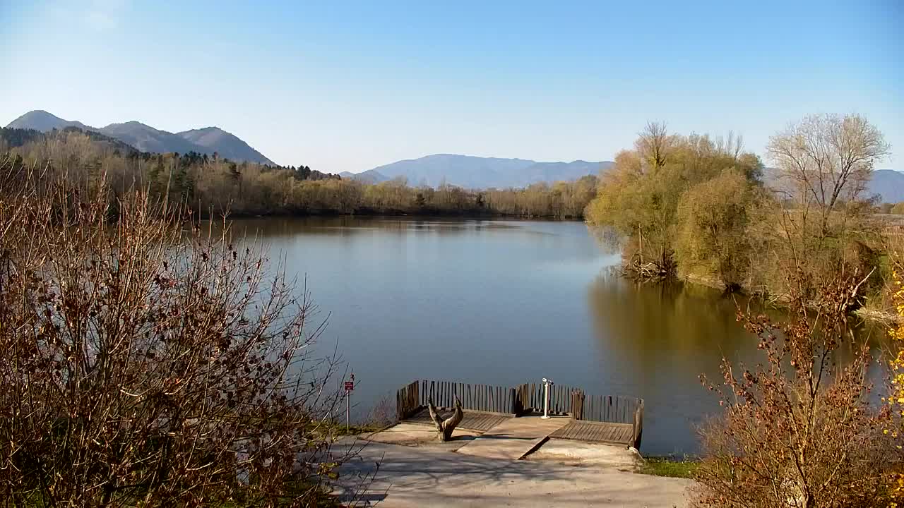 Webcam Ribnik Vrbje – Žalec