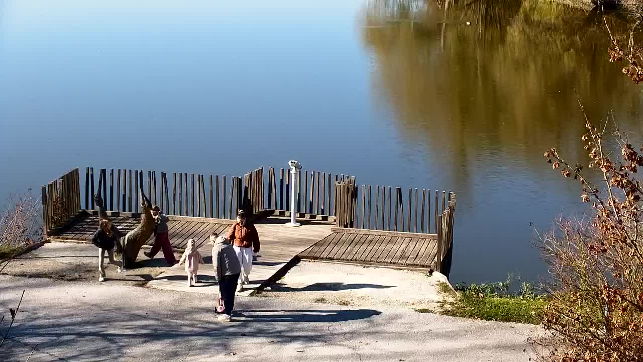 Webcam Ribnik Vrbje – Žalec