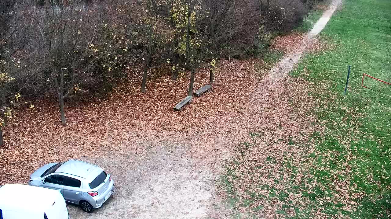 Spletna kamera Ribnik Vrbje – Žalec