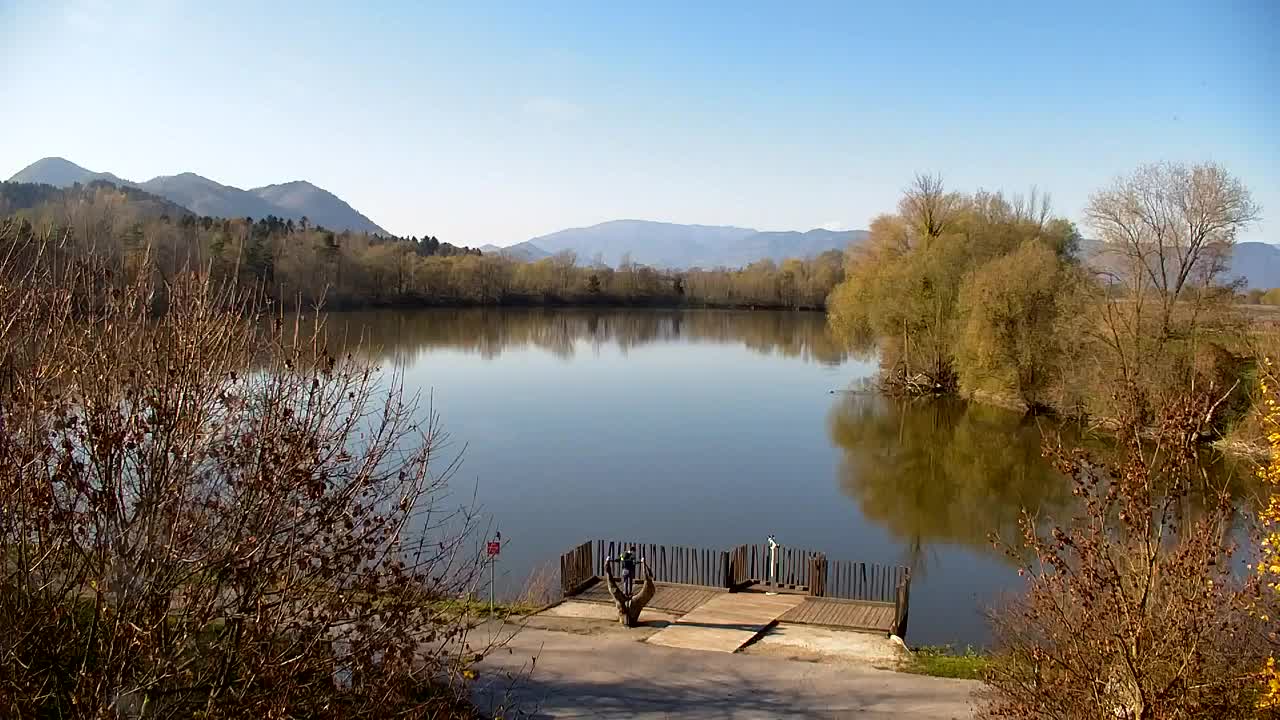Webcam Ribnik Vrbje – Žalec