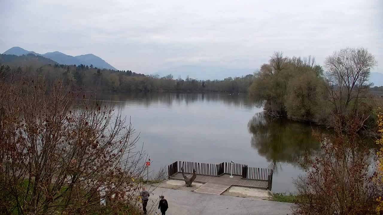 Webcam Ribnik Vrbje – Žalec