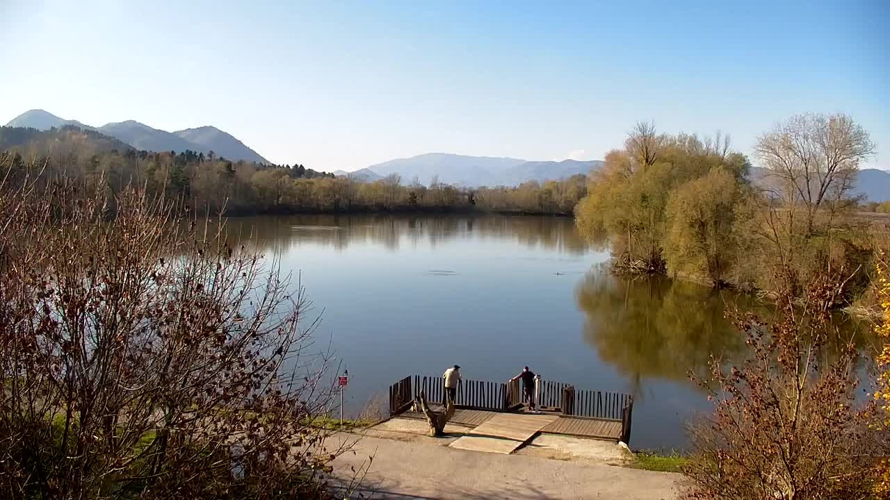 Webcam Ribnik Vrbje – Žalec