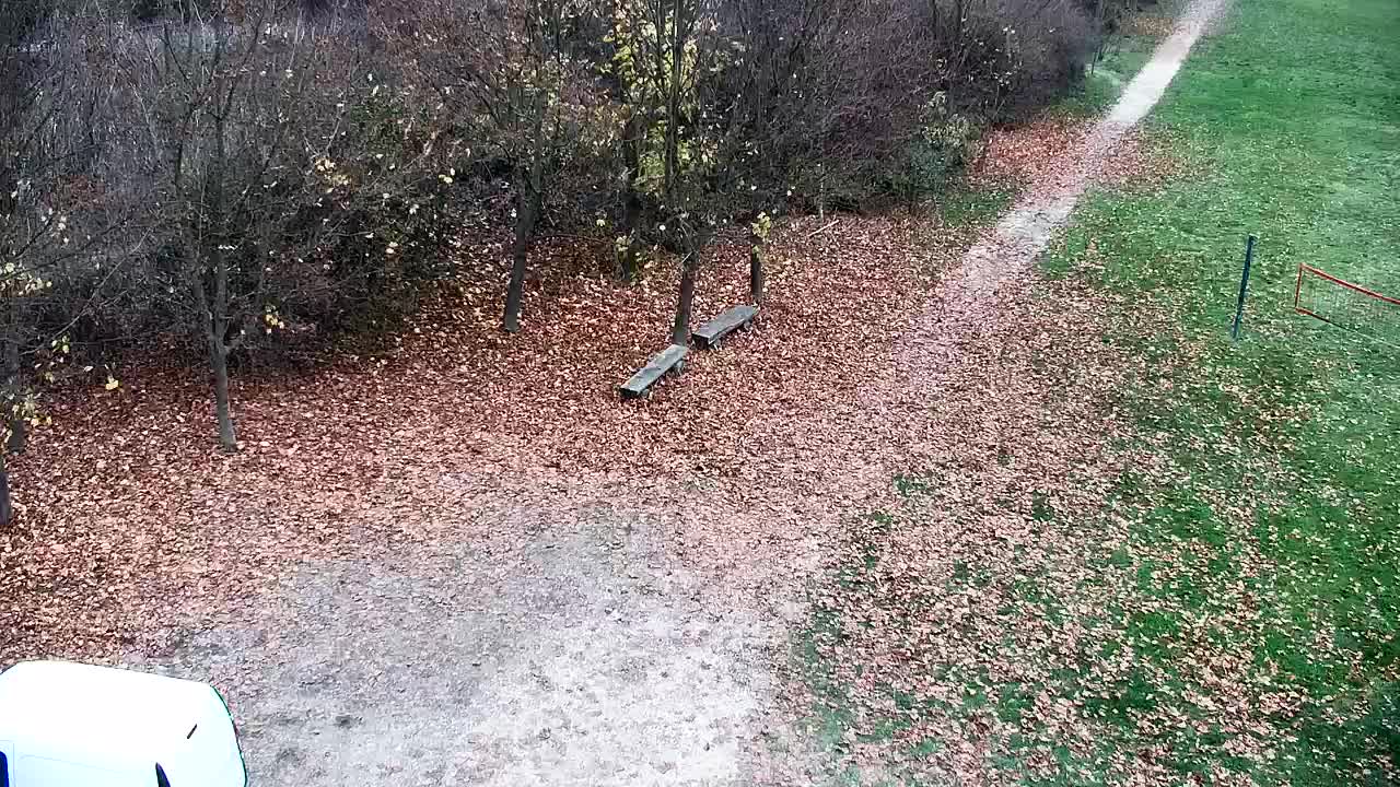 Webcam Ribnik Vrbje – Žalec