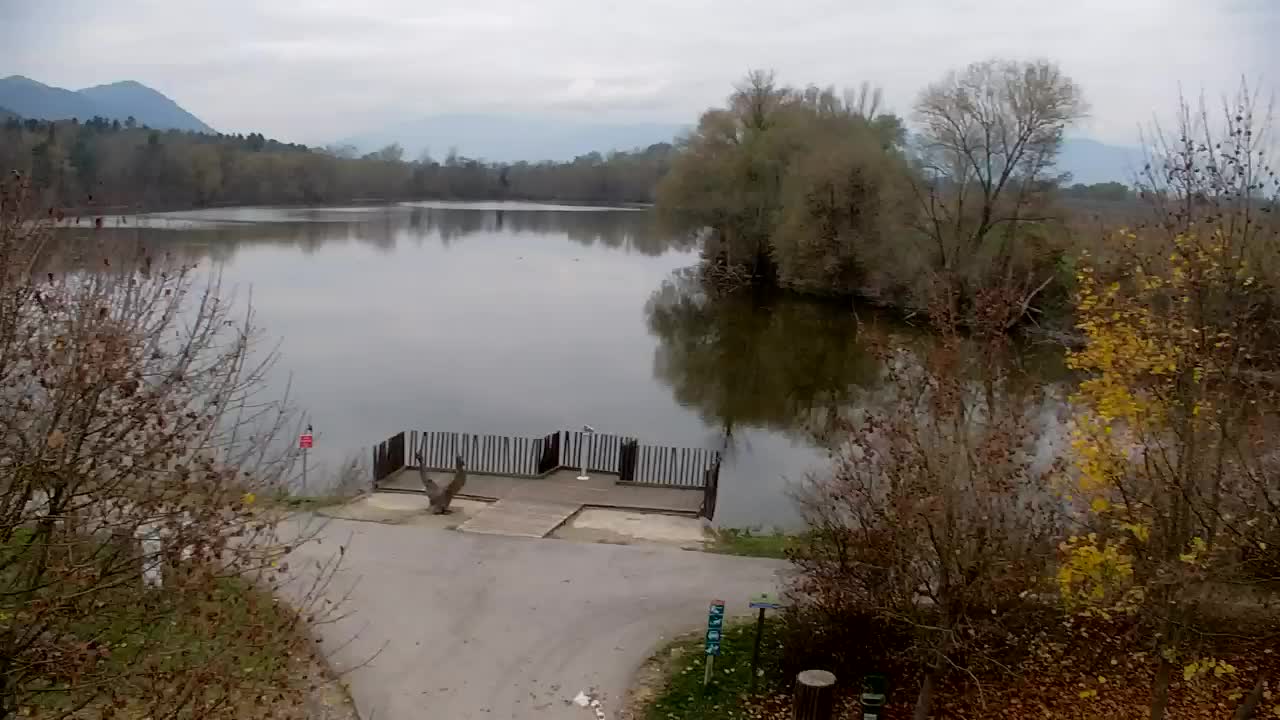 Webcam Ribnik Vrbje – Žalec