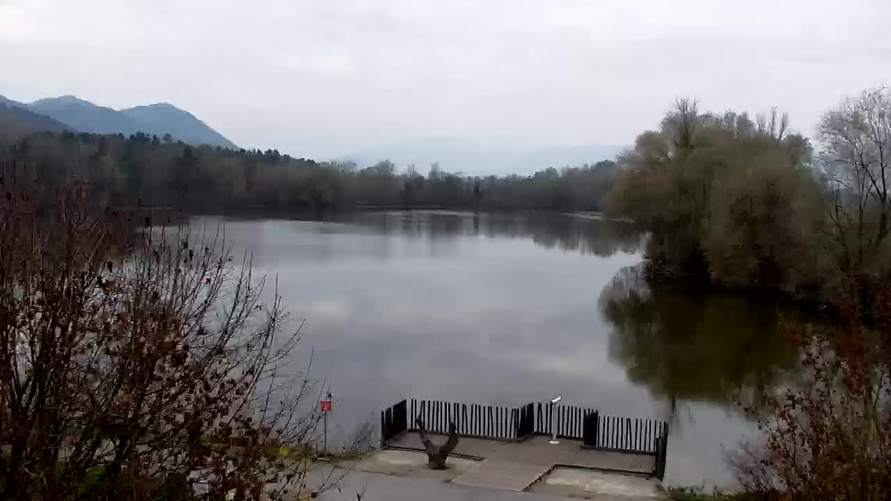 Webcam Ribnik Vrbje – Žalec