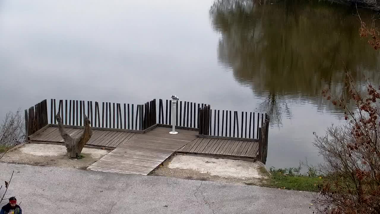 Webcam Ribnik Vrbje – Žalec