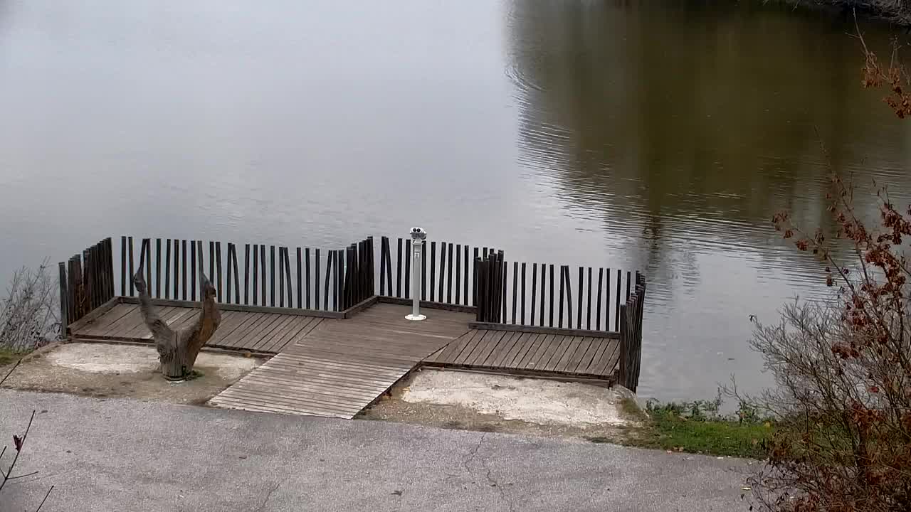 Webcam Ribnik Vrbje – Žalec