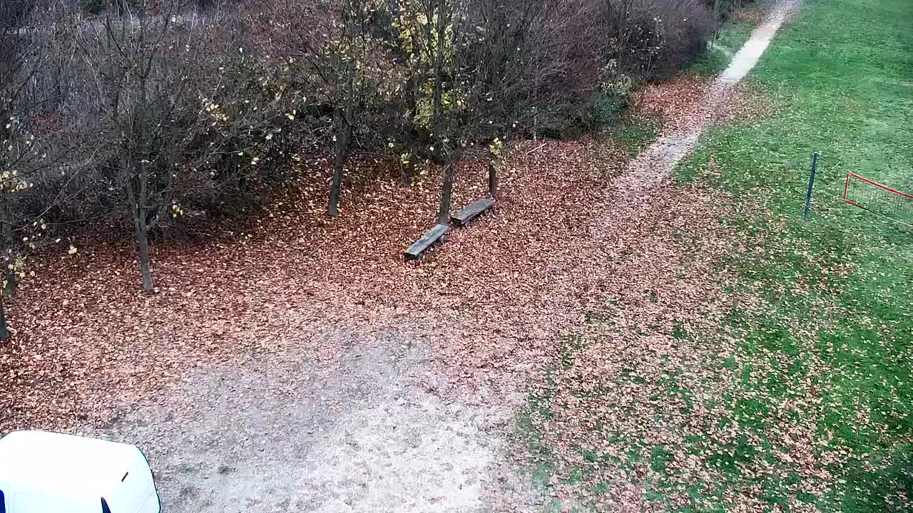 Web kamera Ribnik Vrbje – Žalec