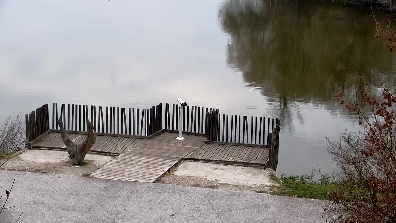 Webcam Ribnik Vrbje – Žalec