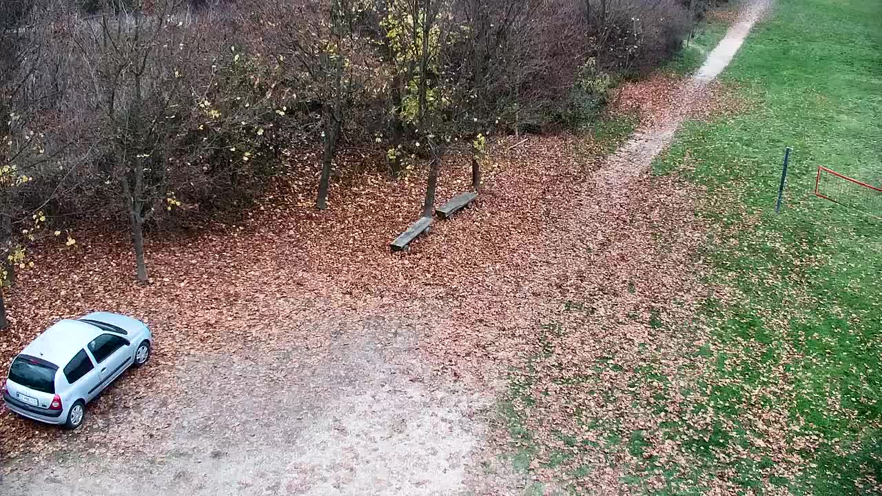 Webcam Ribnik Vrbje – Žalec