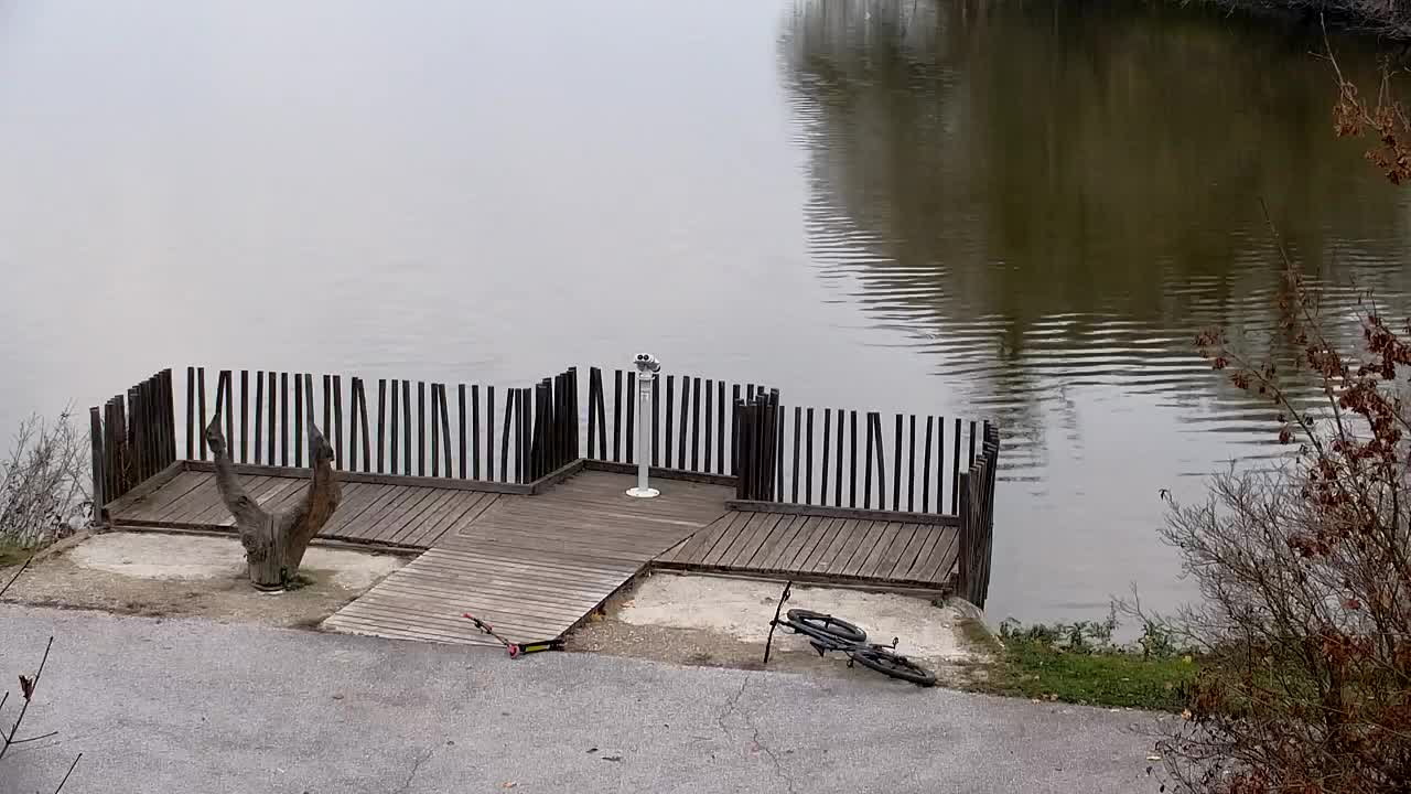 Spletna kamera Ribnik Vrbje – Žalec