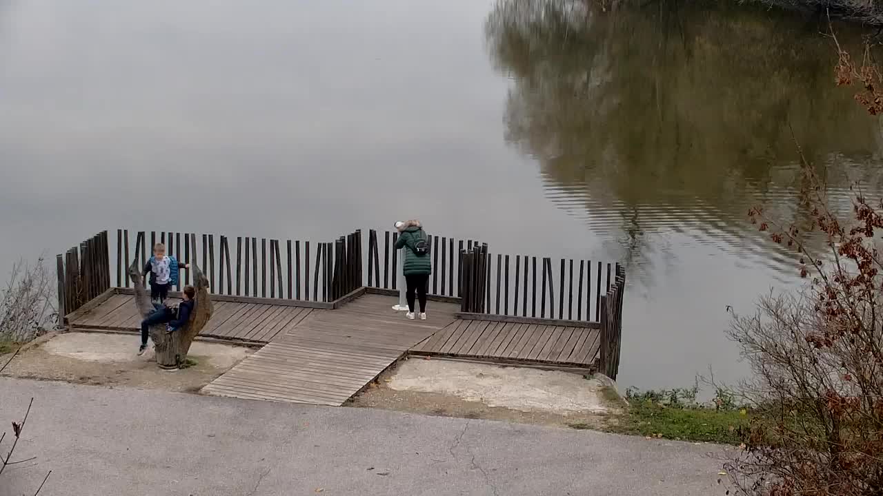 Webcam Ribnik Vrbje – Žalec