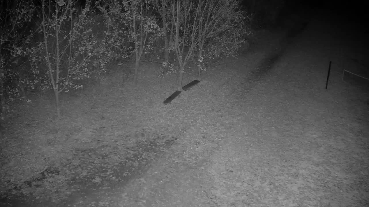 Webcam Ribnik Vrbje – Žalec