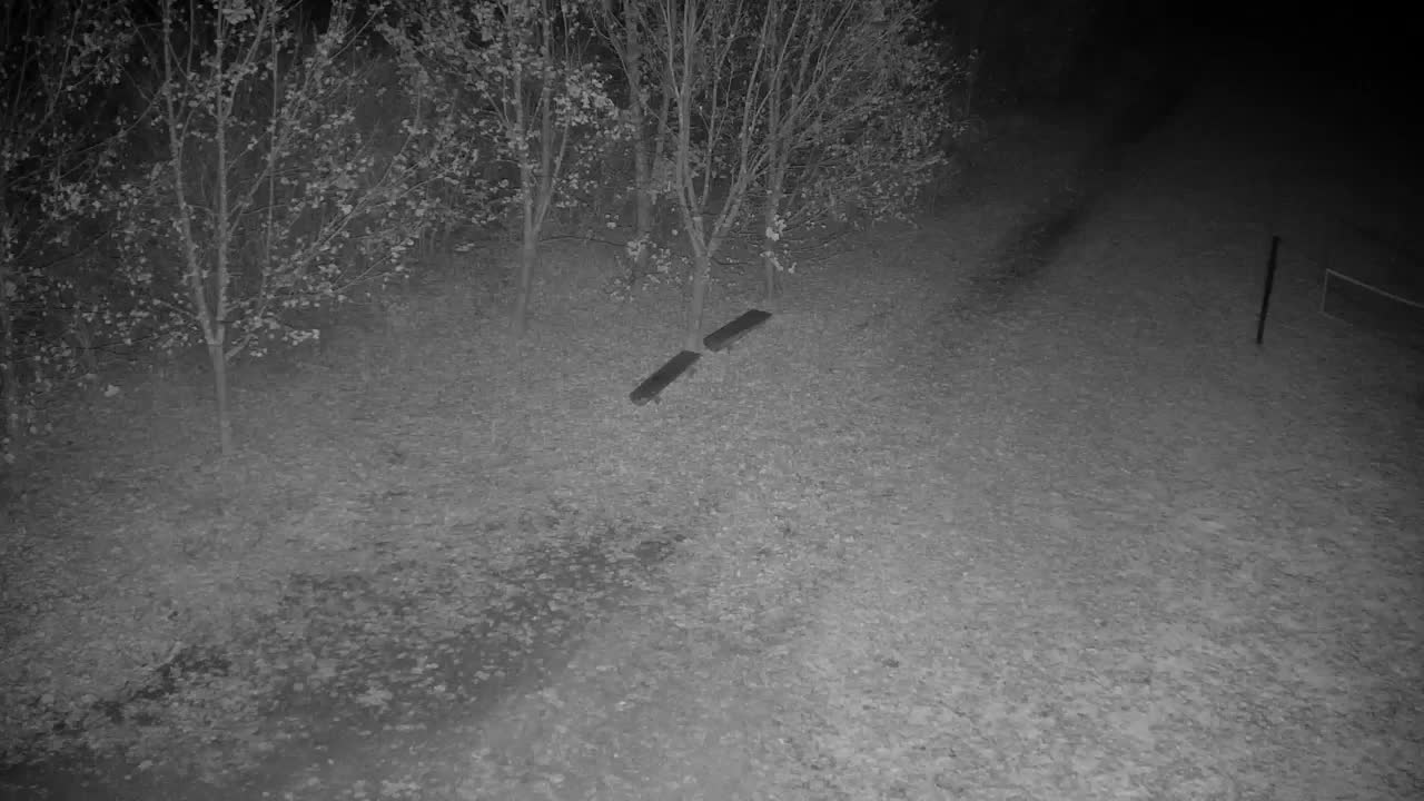 Webcam Ribnik Vrbje – Žalec