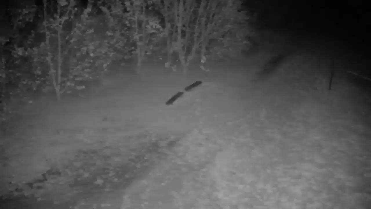 Webcam Ribnik Vrbje – Žalec