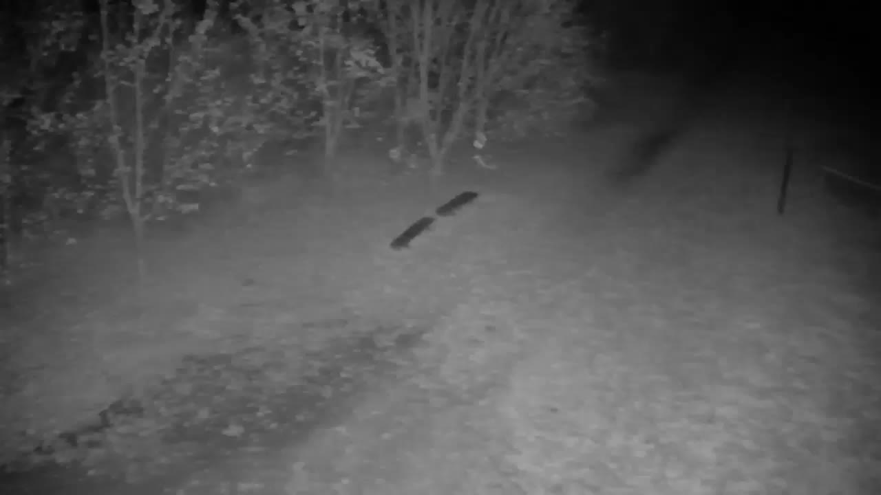 Webcam Ribnik Vrbje – Žalec