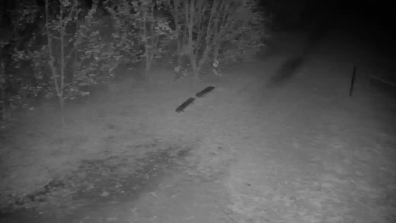 Webcam Ribnik Vrbje – Žalec