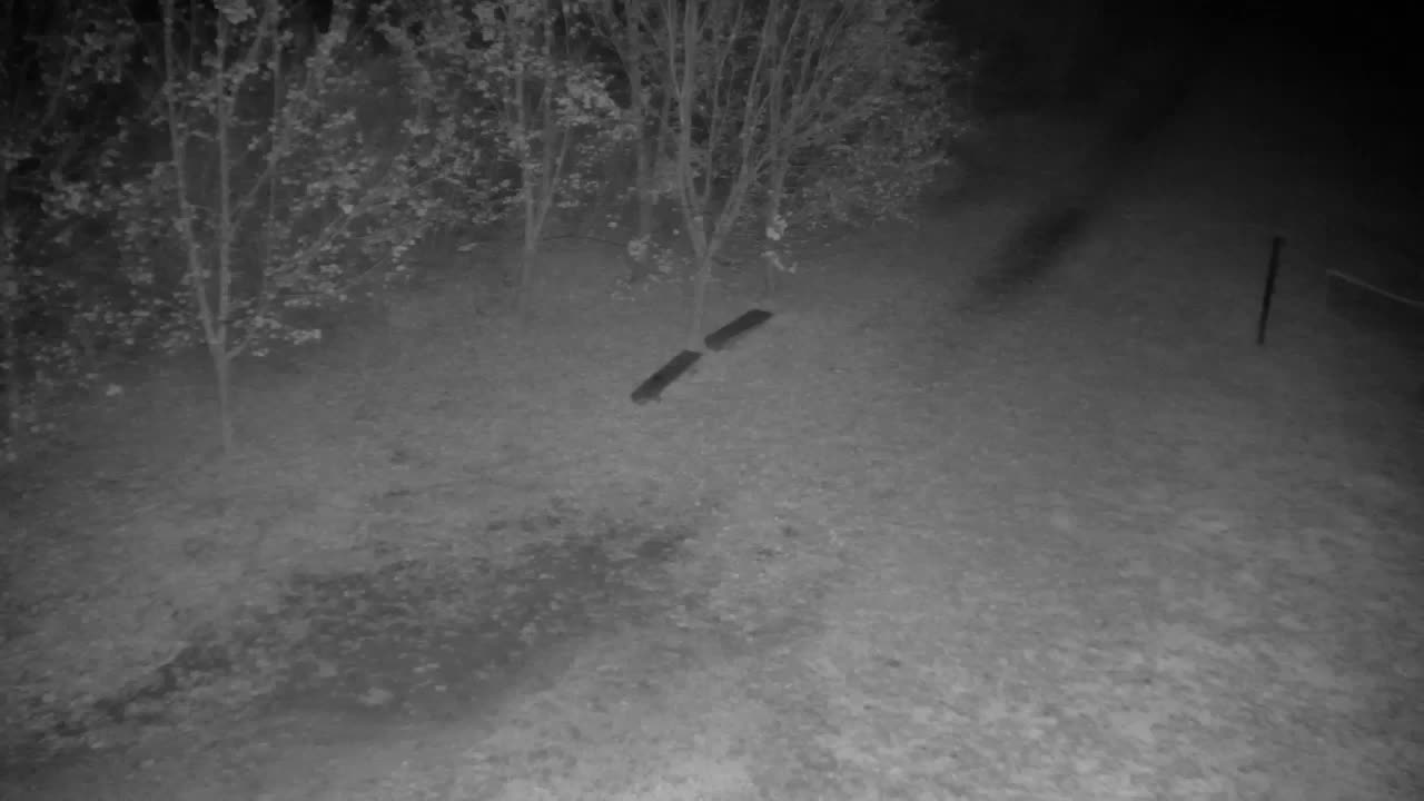 Spletna kamera Ribnik Vrbje – Žalec