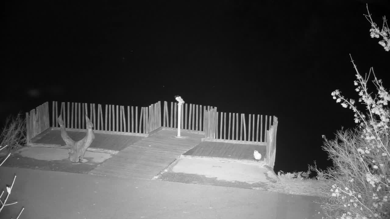 Webcam Ribnik Vrbje – Žalec