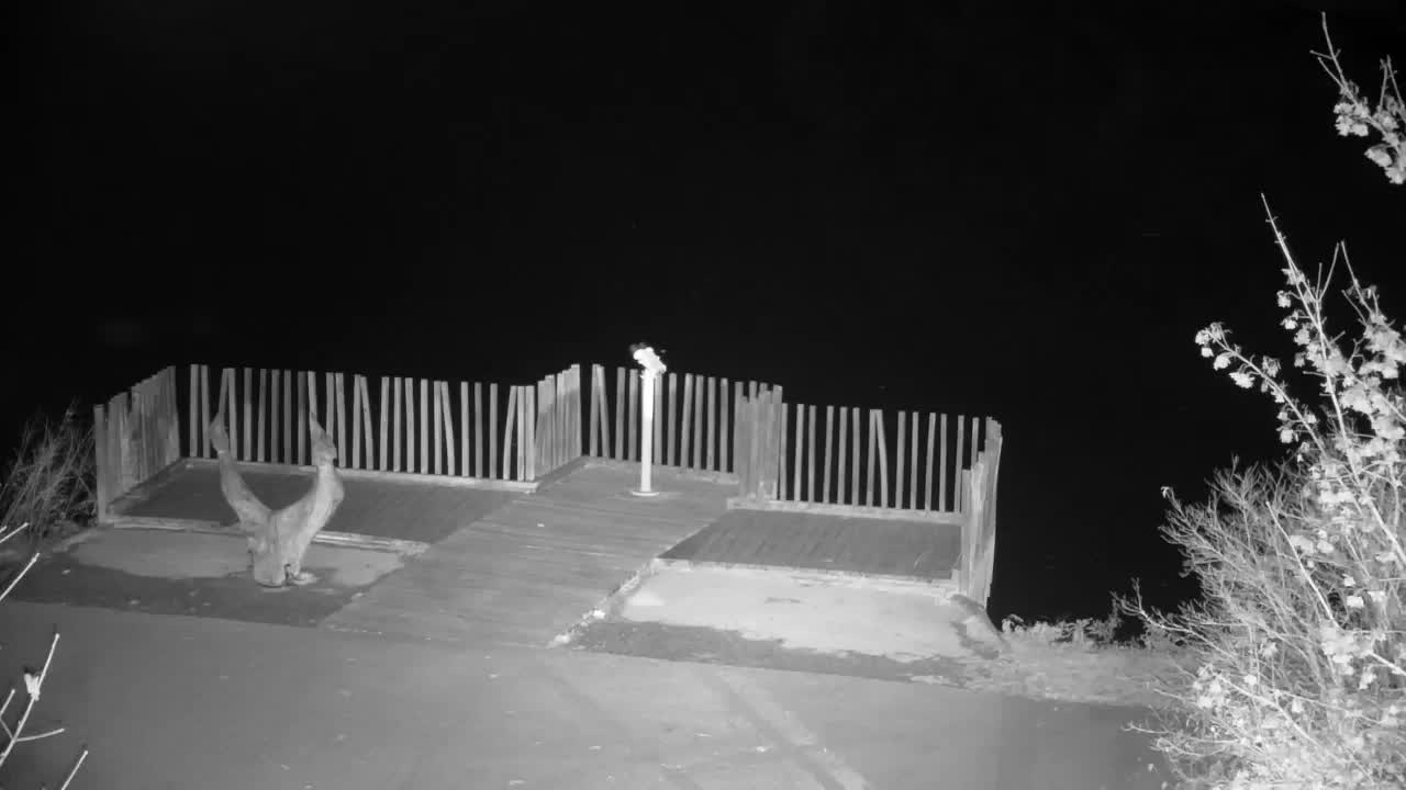 Webcam Ribnik Vrbje – Žalec