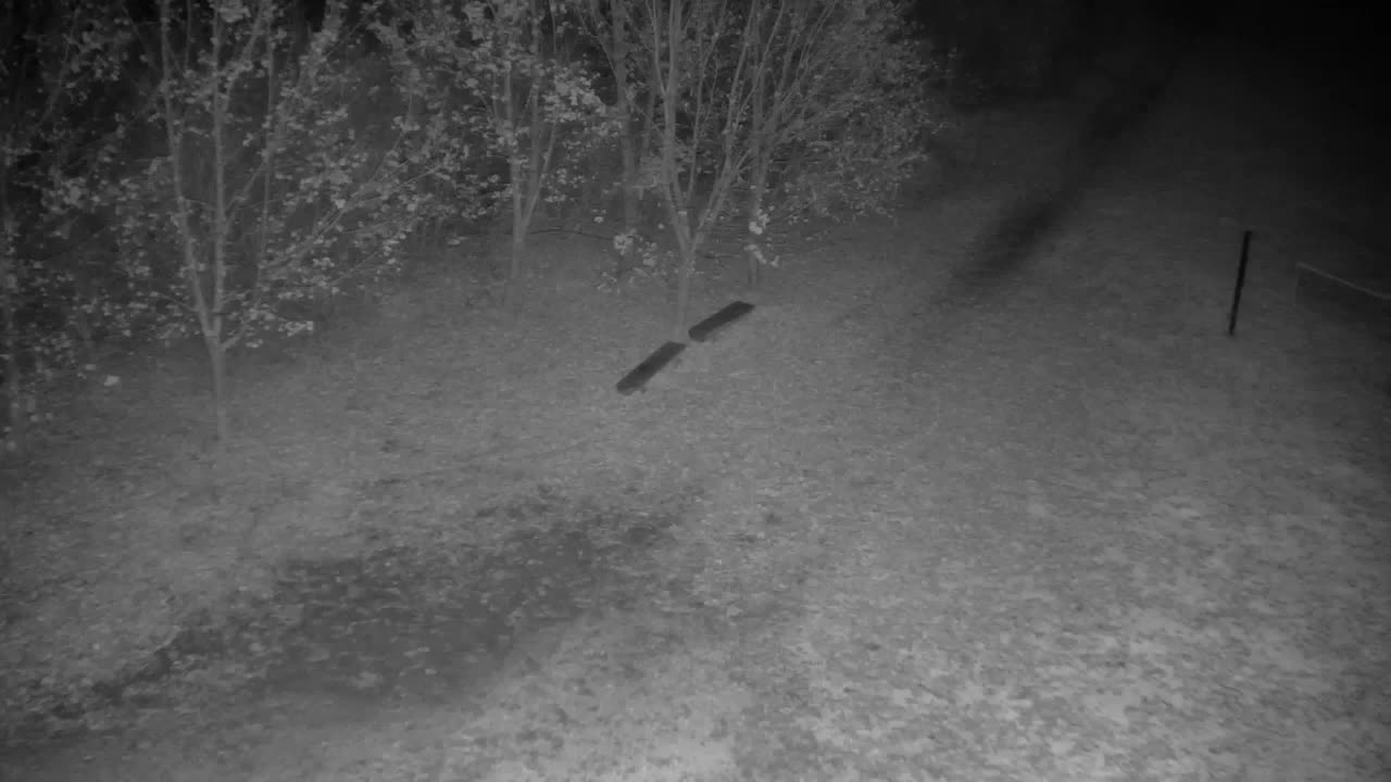 Webcam Ribnik Vrbje – Žalec