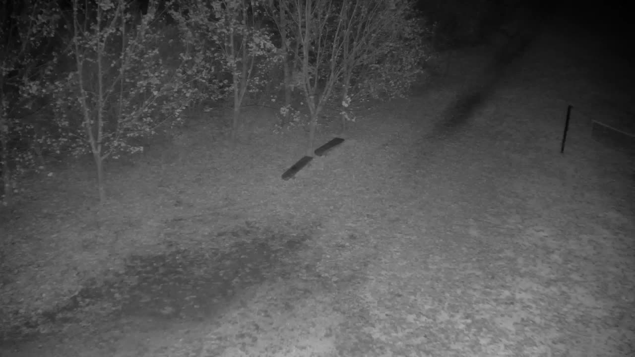 Webcam Ribnik Vrbje – Žalec