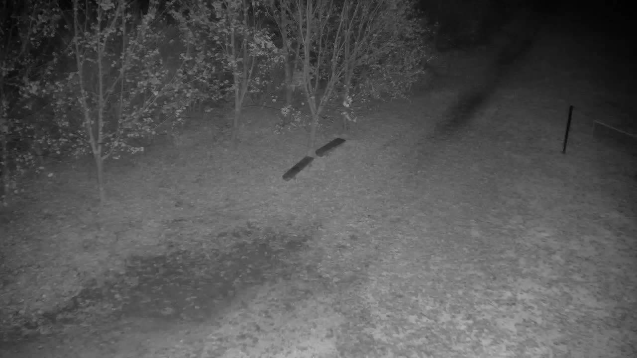 Webcam Ribnik Vrbje – Žalec