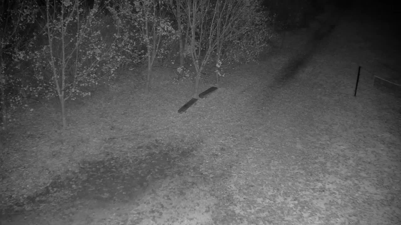 Webcam Ribnik Vrbje – Žalec