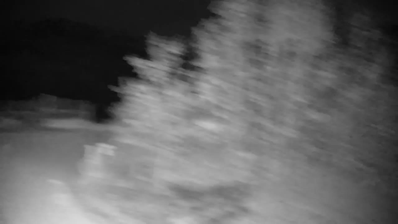 Webcam Ribnik Vrbje – Žalec