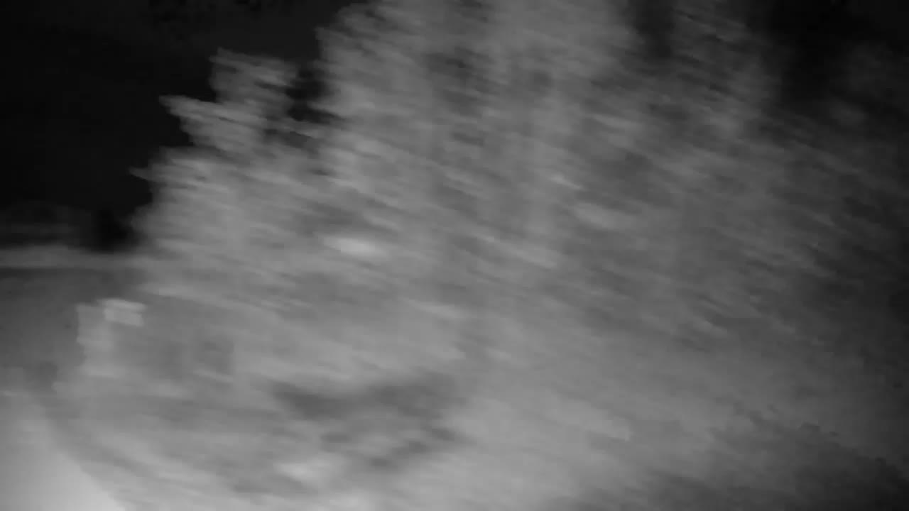 Webcam Ribnik Vrbje – Žalec