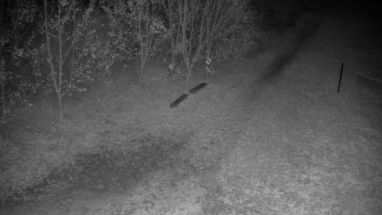 Webcam Ribnik Vrbje – Žalec