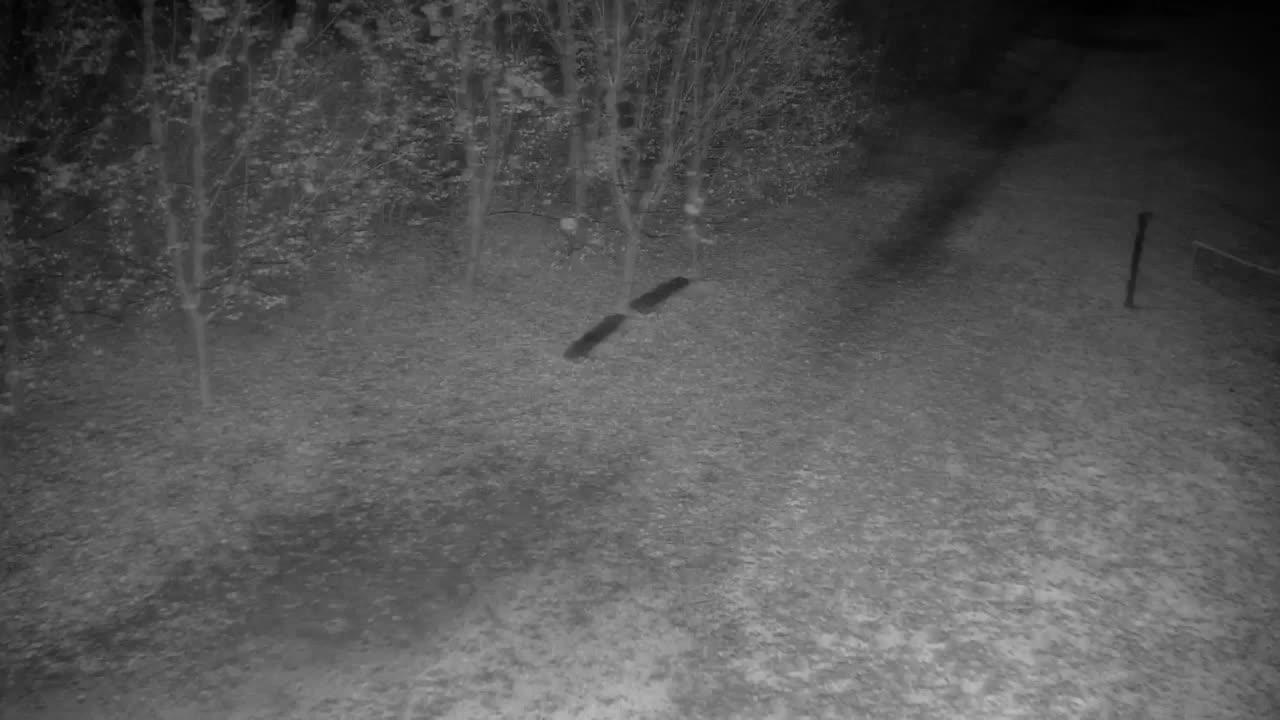 Webcam Ribnik Vrbje – Žalec