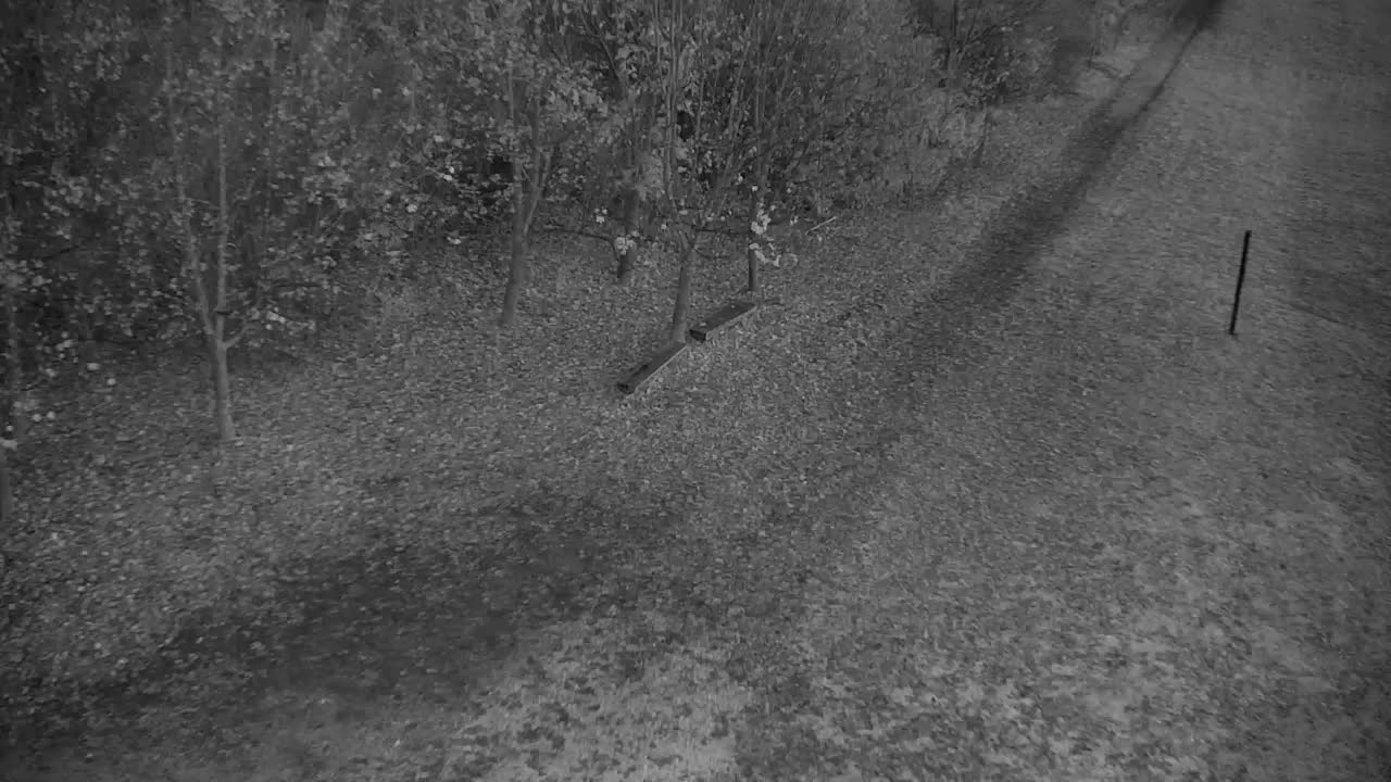 Webcam Ribnik Vrbje – Žalec