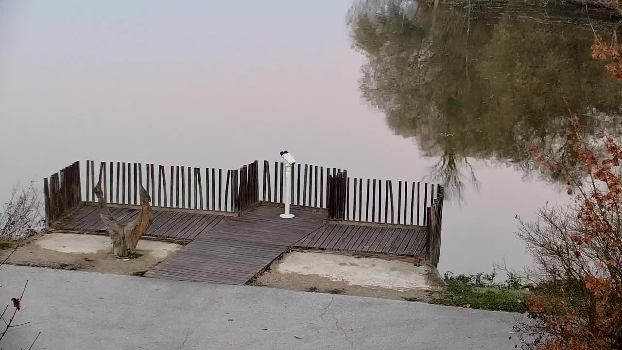 Spletna kamera Ribnik Vrbje – Žalec