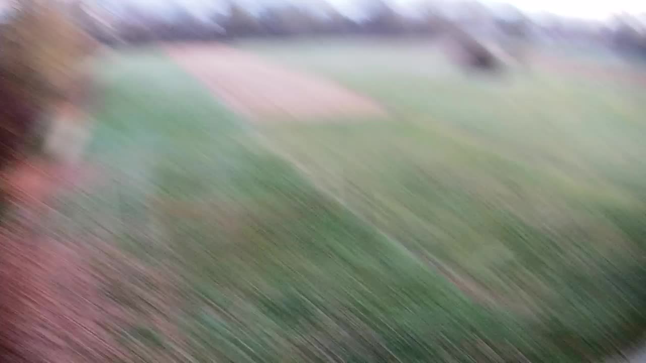 Webcam Ribnik Vrbje – Žalec