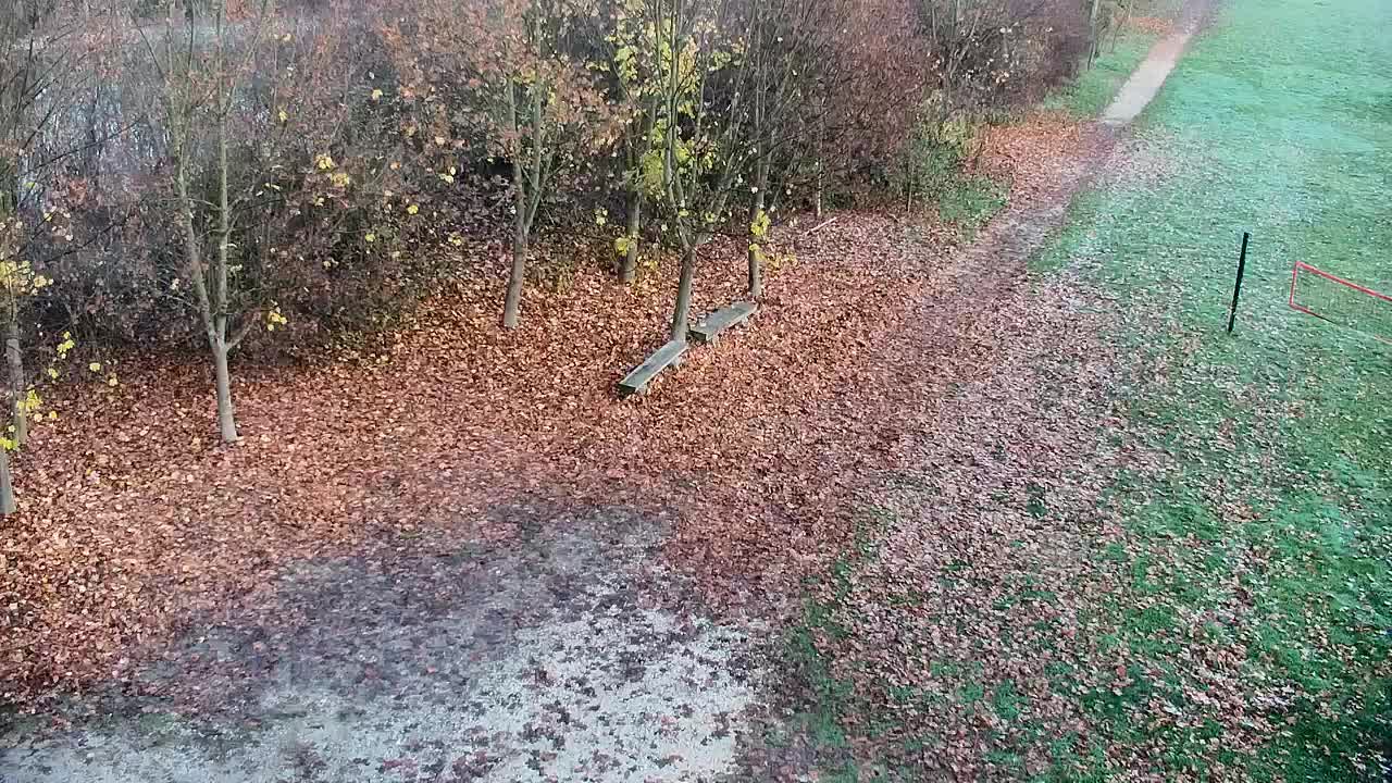 Webcam Ribnik Vrbje – Žalec