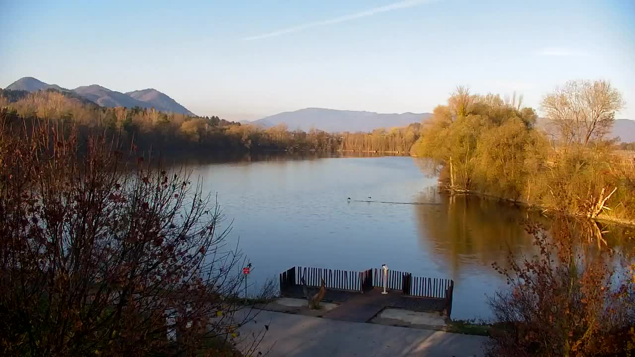 Spletna kamera Ribnik Vrbje – Žalec