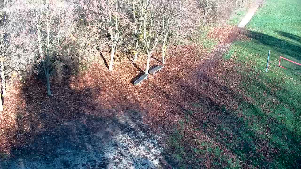 Spletna kamera Ribnik Vrbje – Žalec